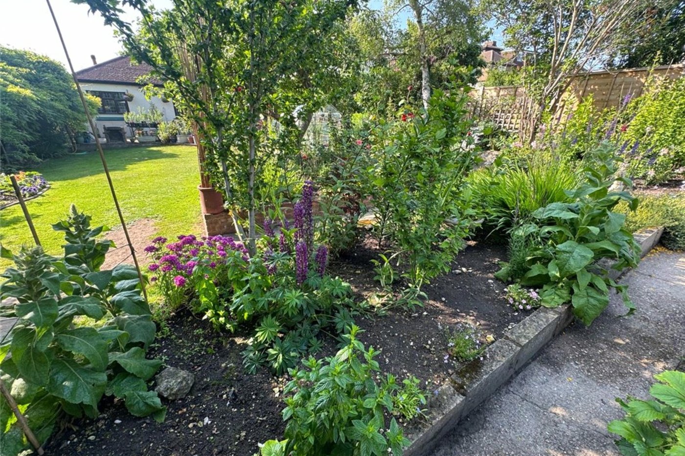 3 bedroom bungalow for sale in South Orpington | Robinson Jackson