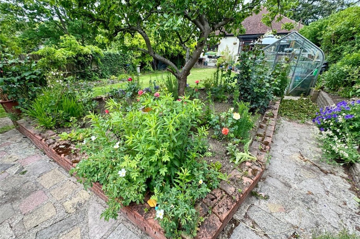 3 bedroom bungalow for sale in South Orpington | Robinson Jackson