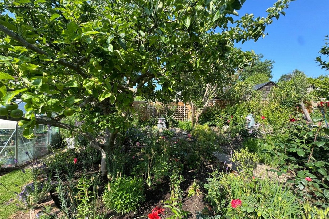 3 bedroom bungalow for sale in South Orpington | Robinson Jackson