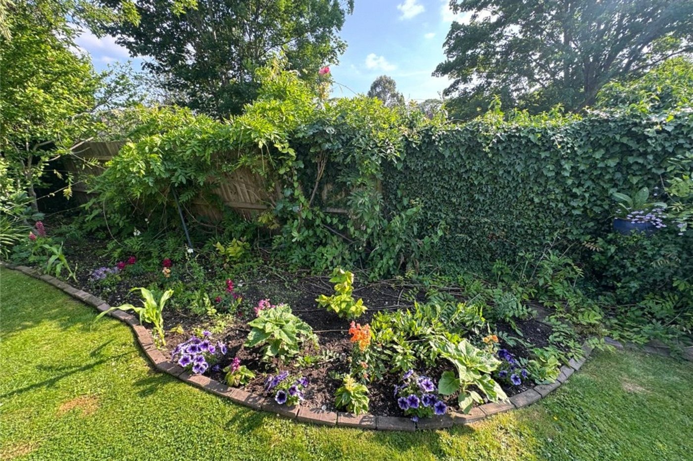 3 bedroom bungalow for sale in South Orpington | Robinson Jackson