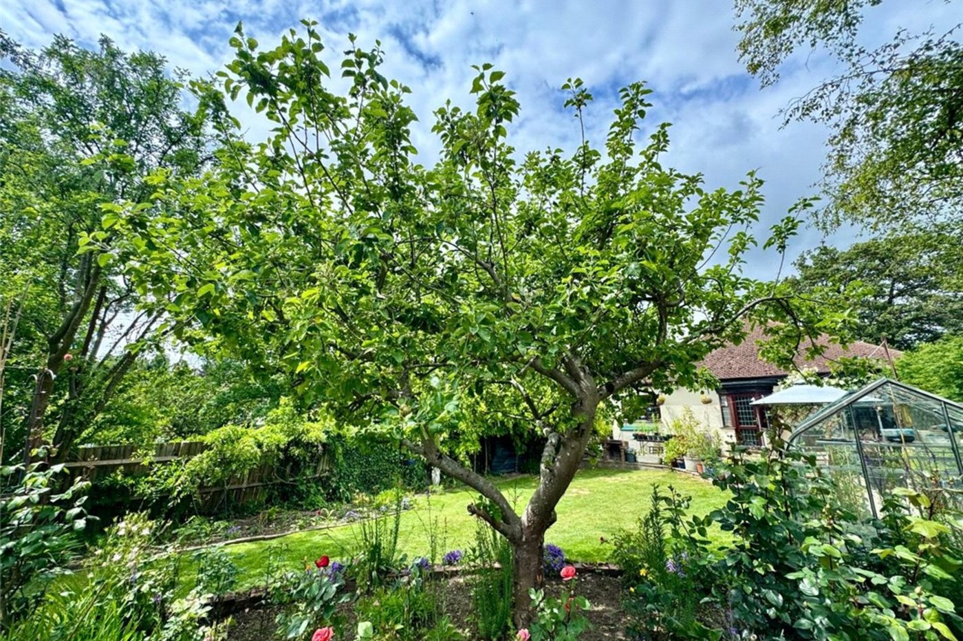 3 bedroom bungalow for sale in South Orpington | Robinson Jackson