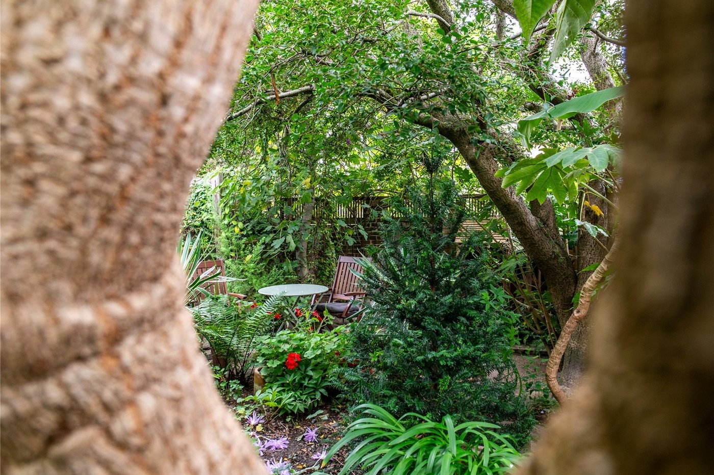 3 bedroom house for sale in Gravesend | Robinson Michael & Jackson