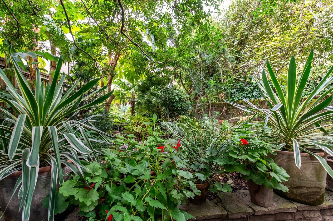 3 bedroom house for sale in Gravesend | Robinson Michael & Jackson