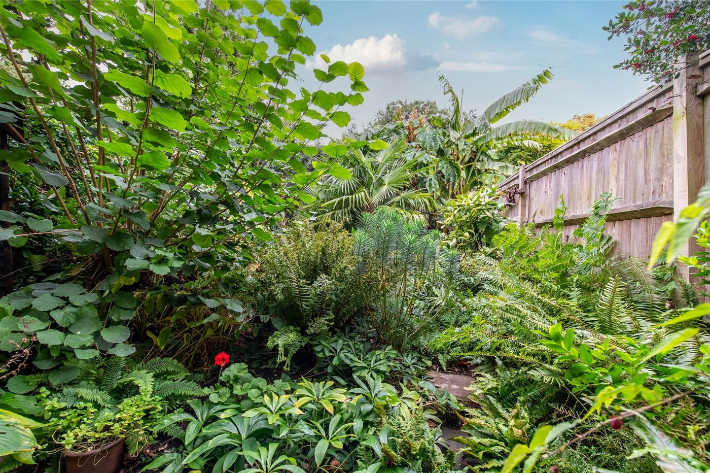 3 bedroom house for sale in Gravesend | Robinson Michael & Jackson