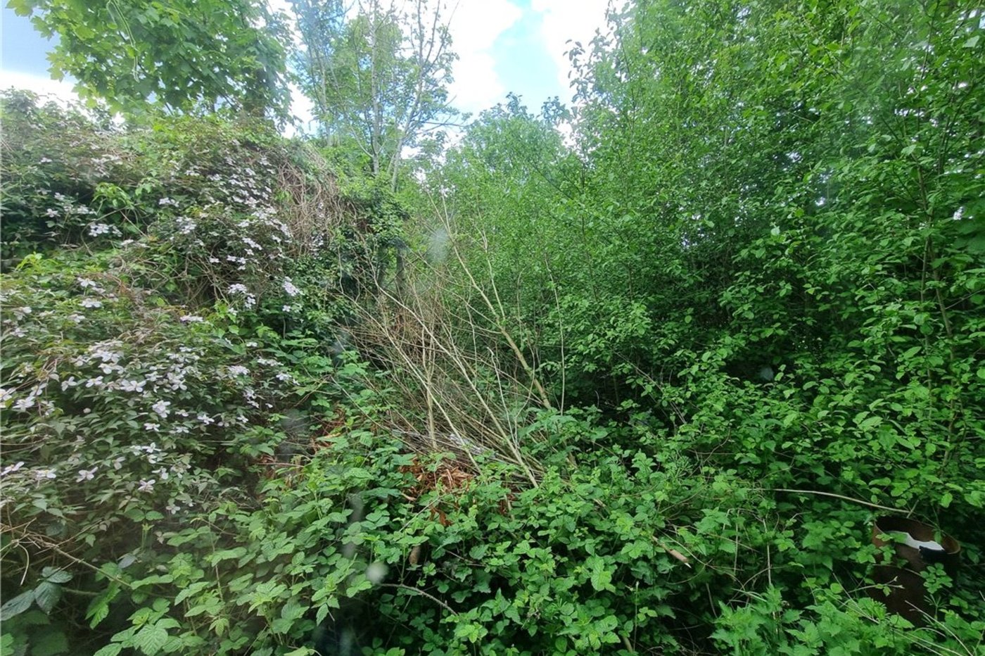 3 bedroom house for sale in Orpington | Robinson Jackson