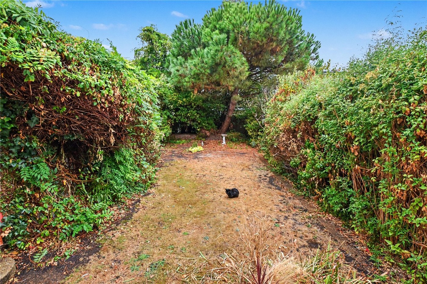 3 bedroom house for sale in Bexleyheath | Robinson Jackson