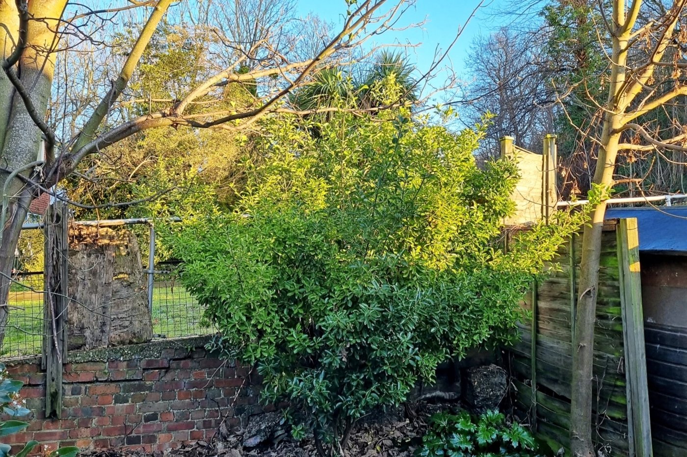 3 bedroom house for sale in Belvedere | Robinson Jackson