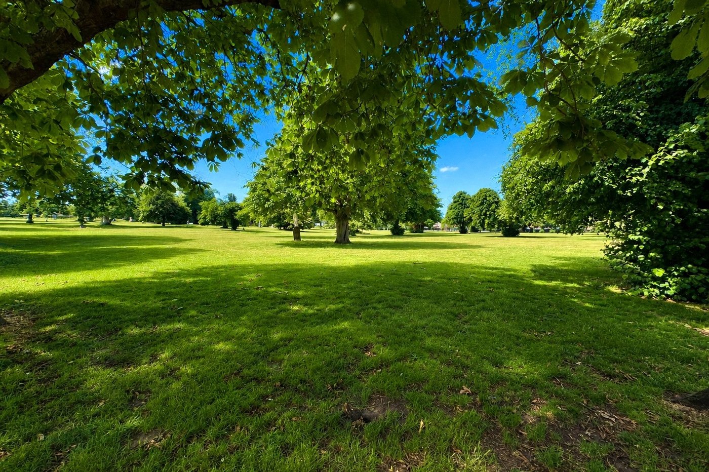 3 bedroom house for sale in Gillingham | Robinson Michael & Jackson