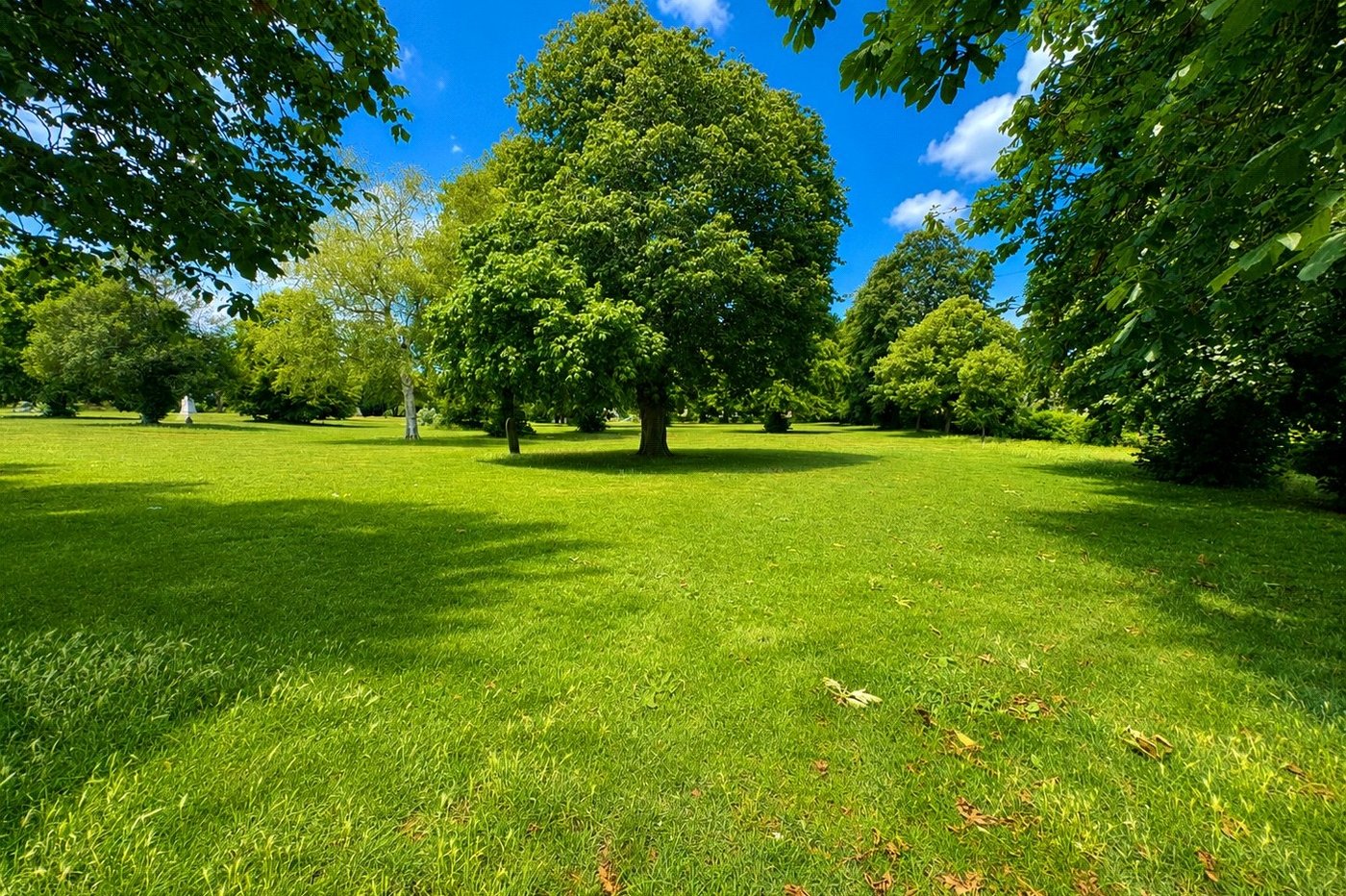 3 bedroom house for sale in Gillingham | Robinson Michael & Jackson