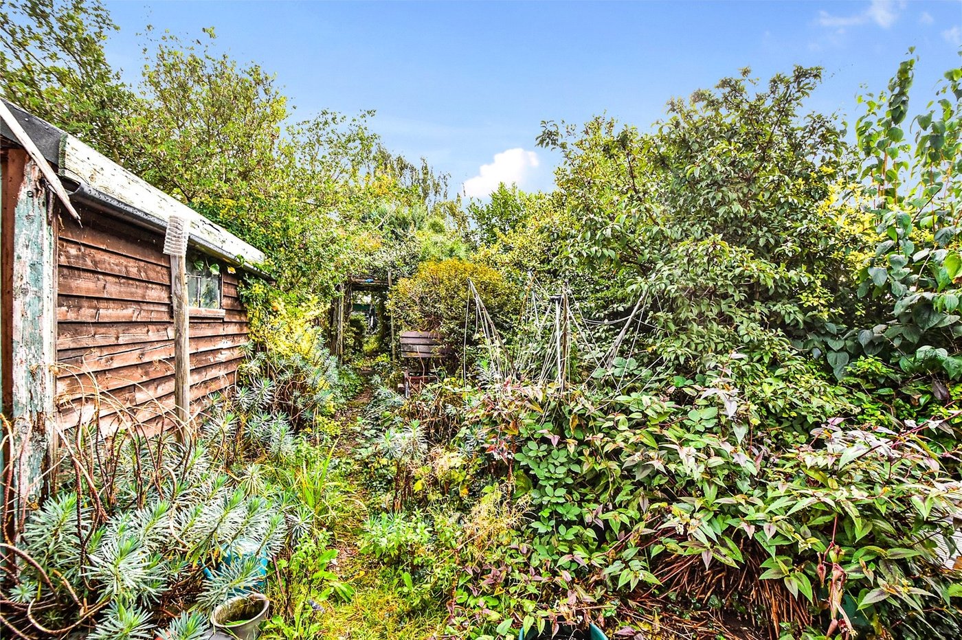 3 bedroom bungalow for sale in West Dartford | Robinson Jackson