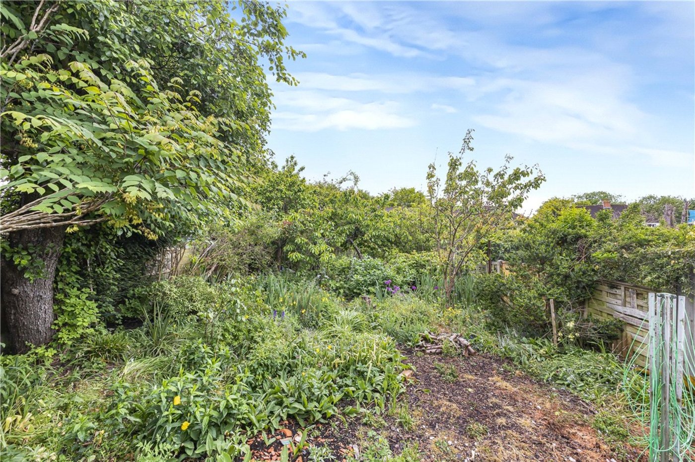 2 bedroom bungalow for sale in Orpington | Robinson Jackson
