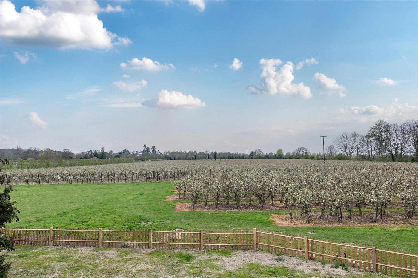 3 bedroom house for sale in Teynham | Robinson Michael & Jackson