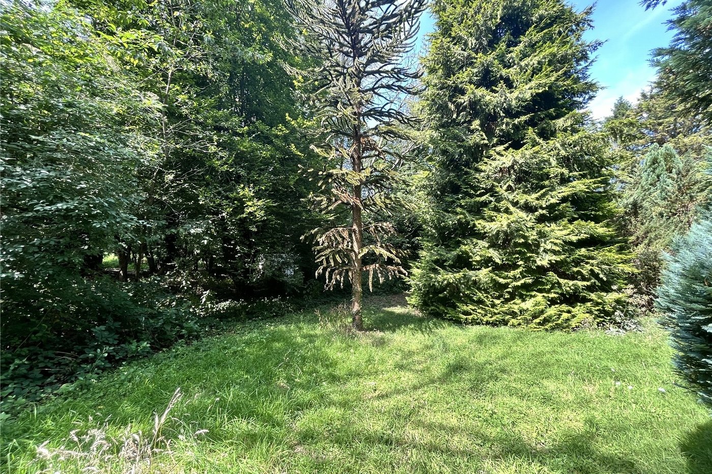 3 bedroom bungalow for sale in Newnham | Robinson Michael & Jackson