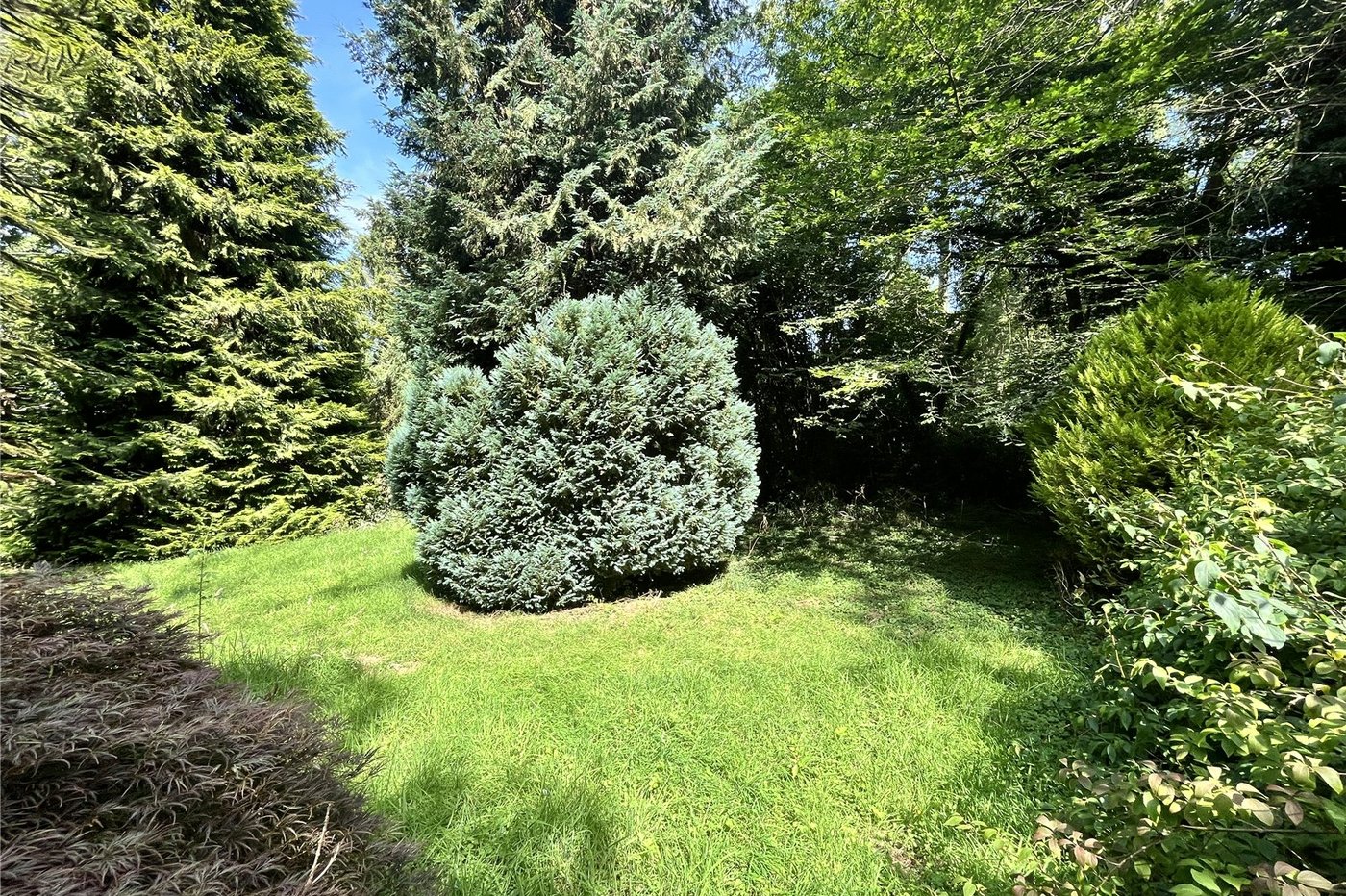 3 bedroom bungalow for sale in Newnham | Robinson Michael & Jackson