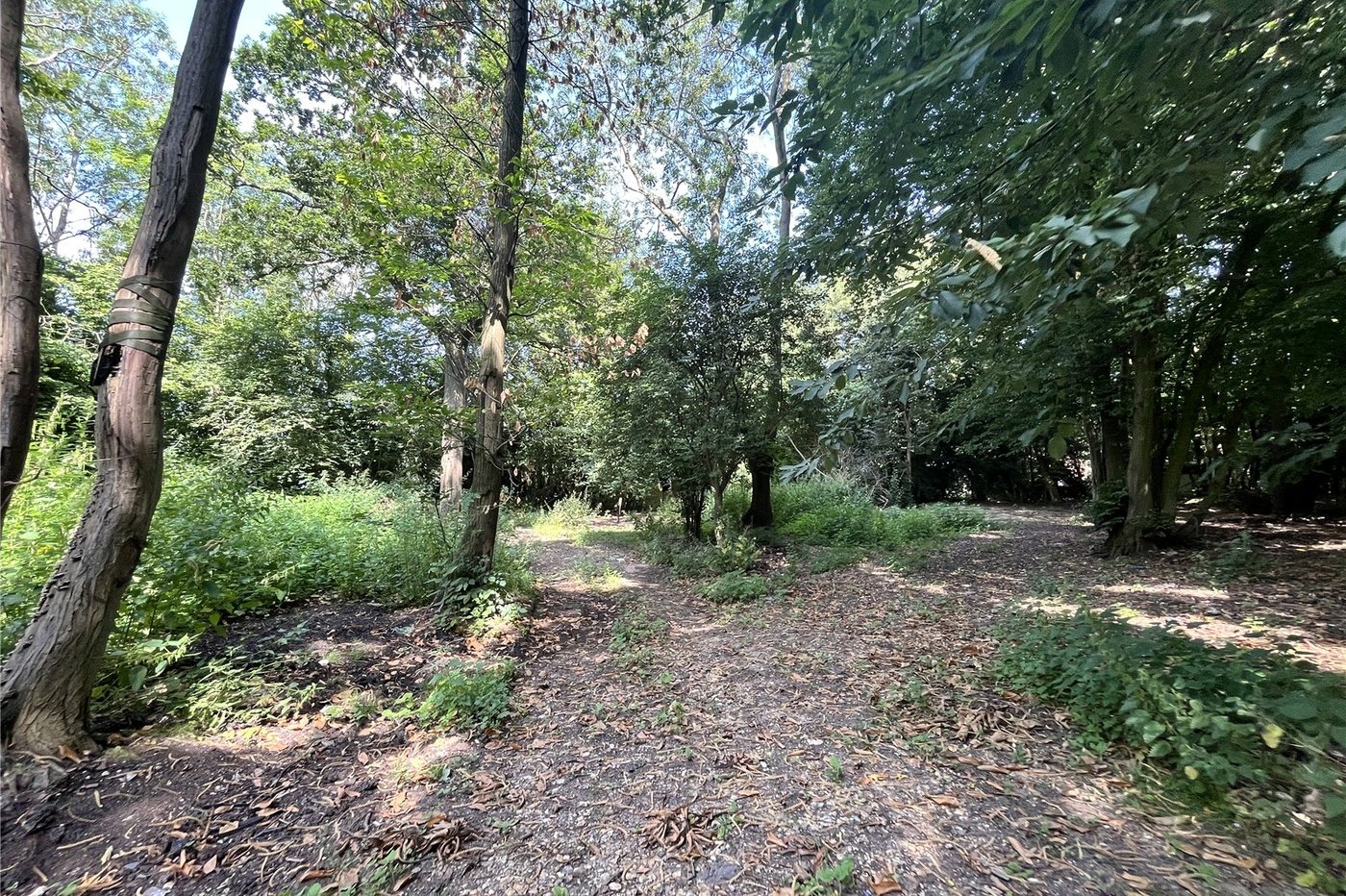 3 bedroom bungalow for sale in Newnham | Robinson Michael & Jackson