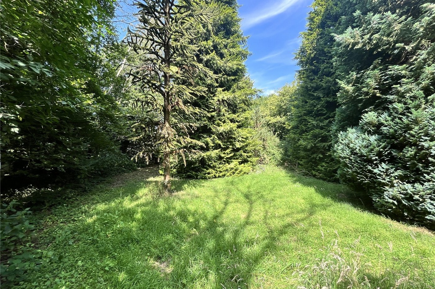 3 bedroom bungalow for sale in Newnham | Robinson Michael & Jackson