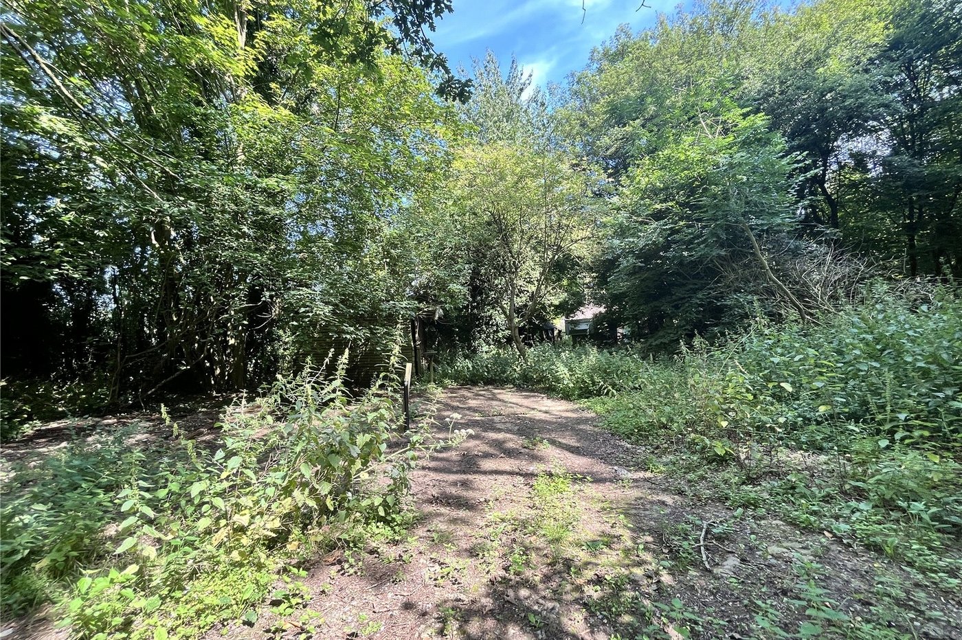 3 bedroom bungalow for sale in Newnham | Robinson Michael & Jackson