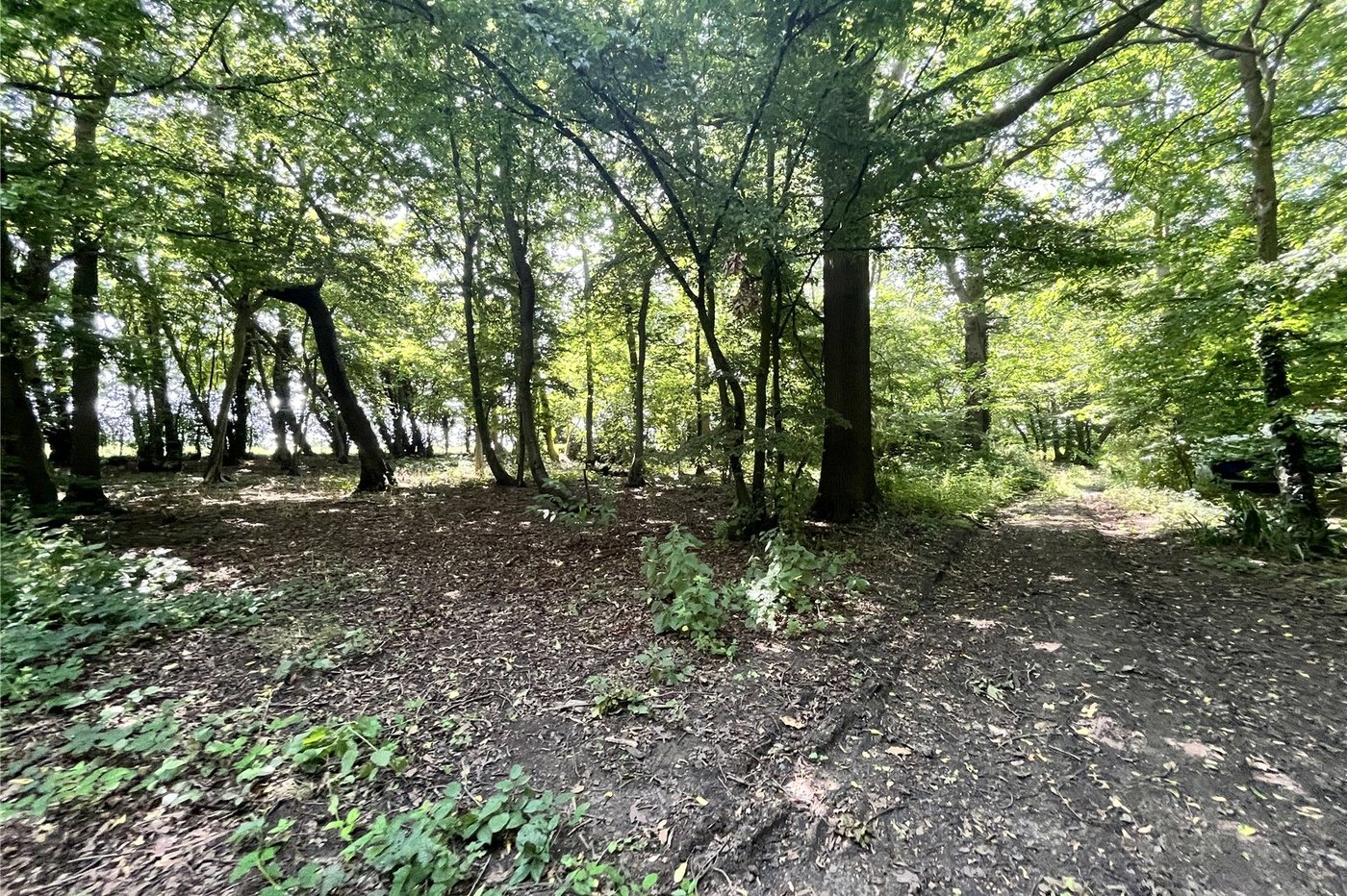 3 bedroom bungalow for sale in Newnham | Robinson Michael & Jackson