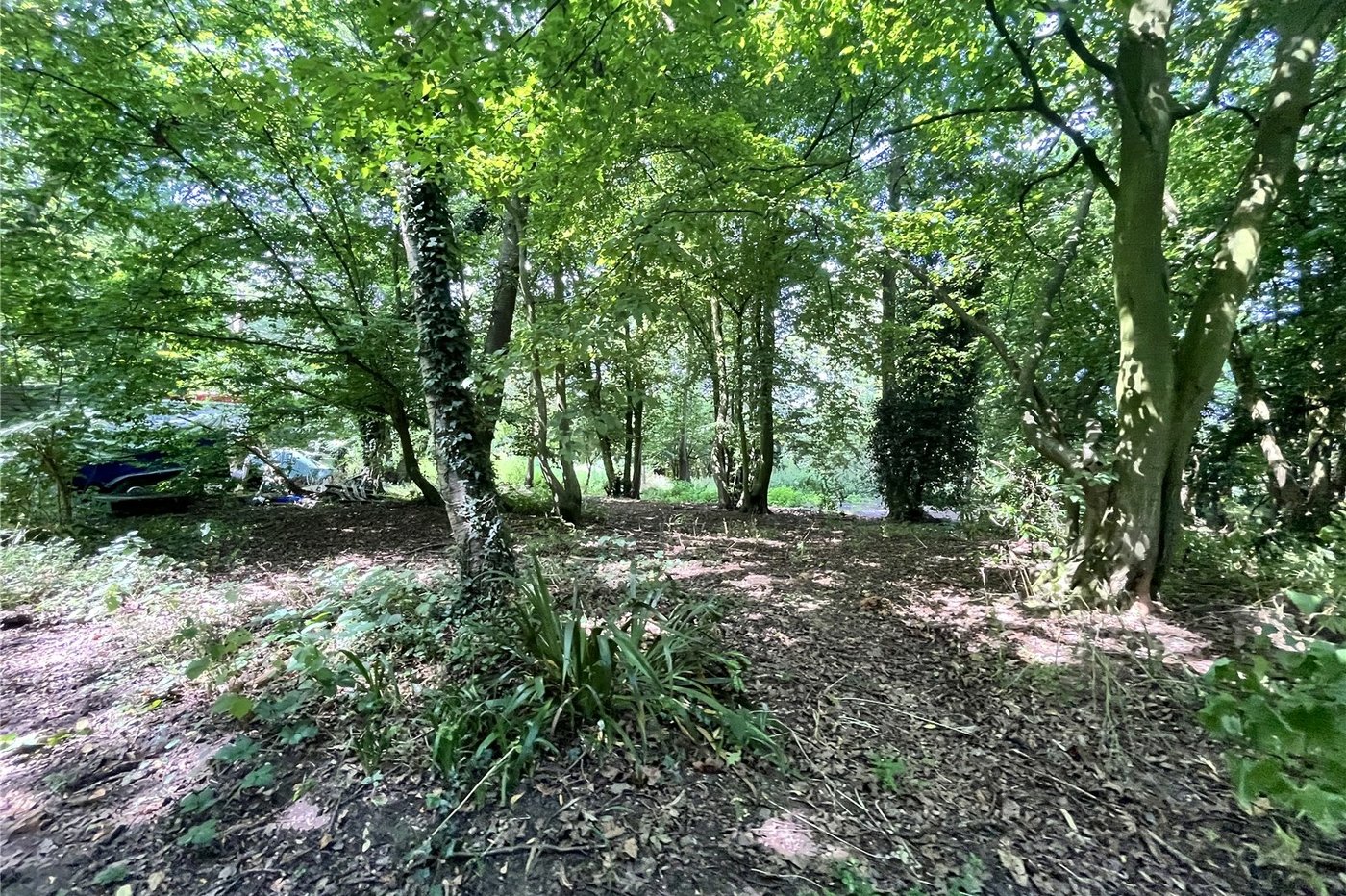 3 bedroom bungalow for sale in Newnham | Robinson Michael & Jackson