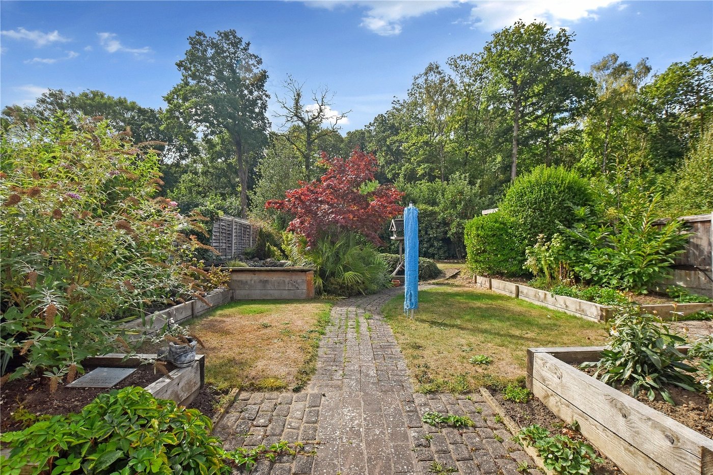 3 bedroom bungalow for sale in Dartford | Robinson Jackson