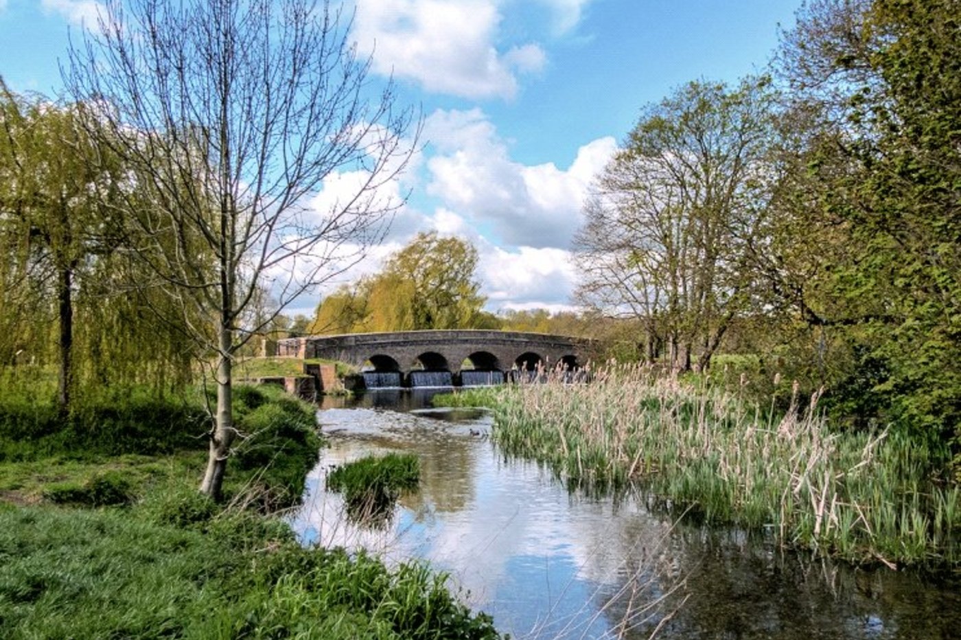 3 bedroom house for sale in Sidcup | Robinson Jackson