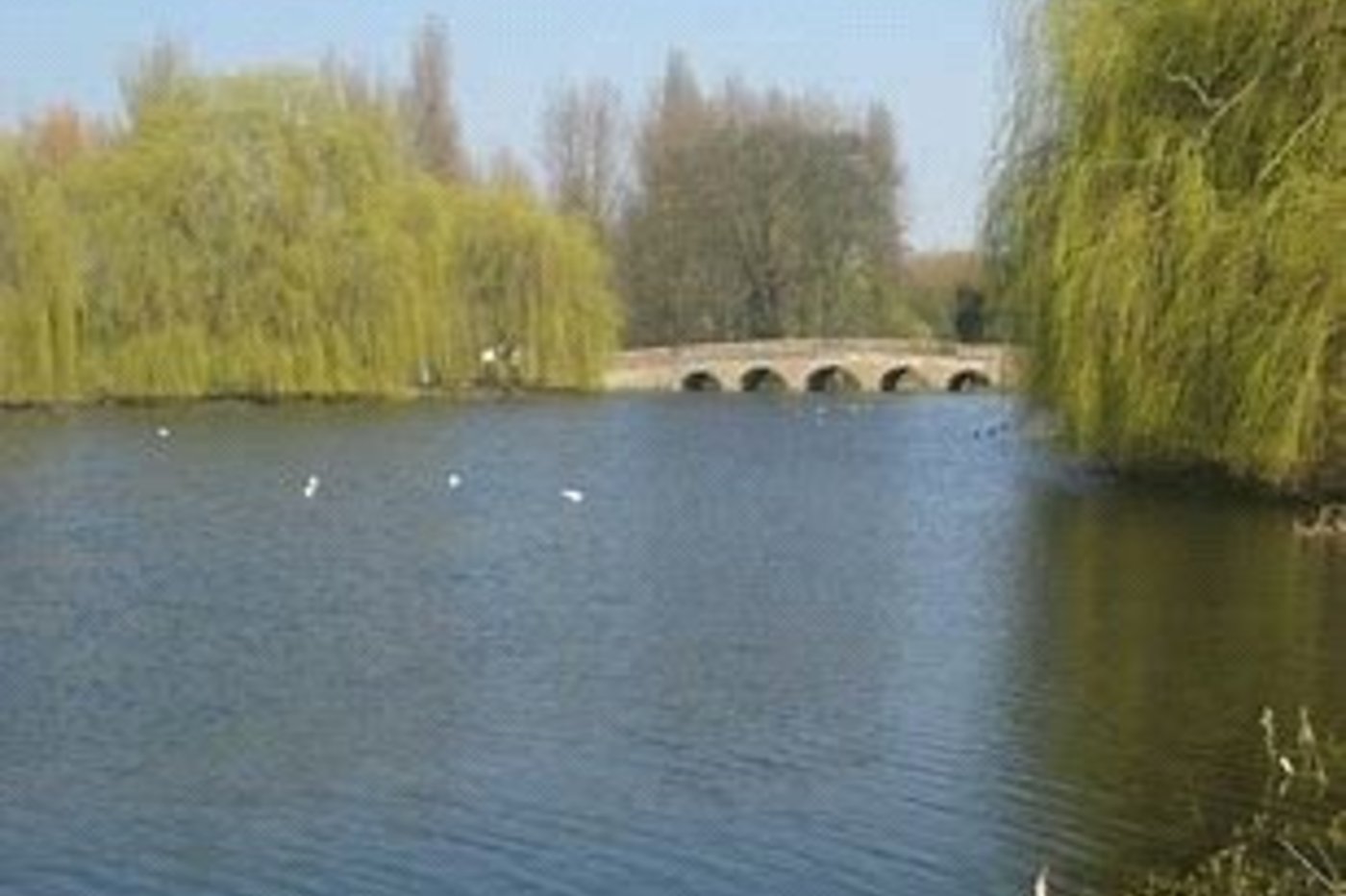 3 bedroom house for sale in Sidcup | Robinson Jackson