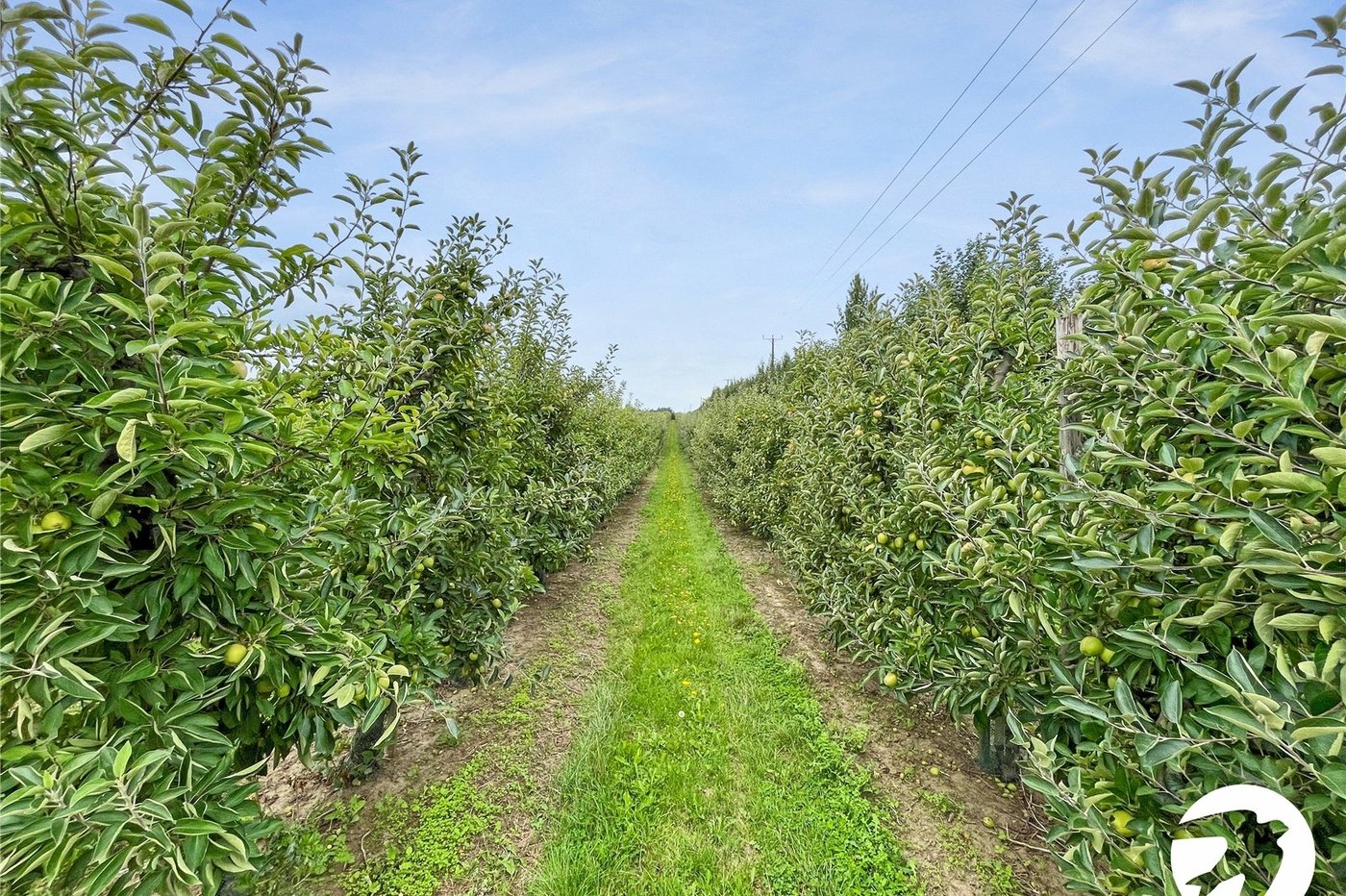 3 bedroom house for sale in Newington | Robinson Michael & Jackson