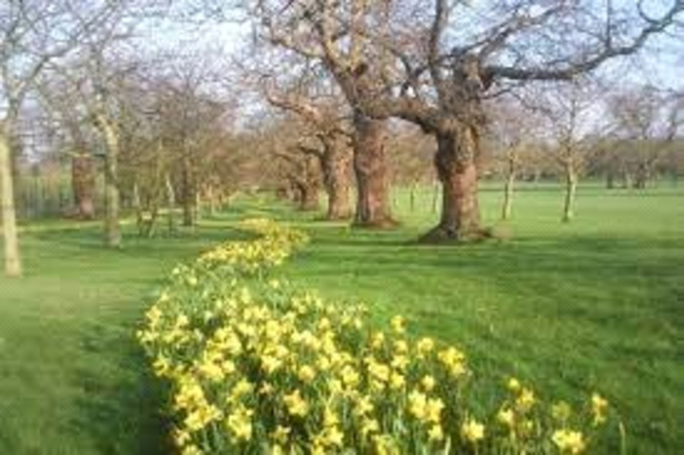 3 bedroom bungalow for sale in Sidcup | Robinson Jackson