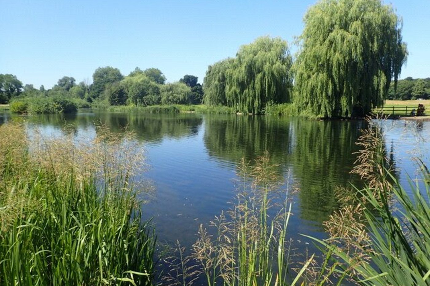 3 bedroom bungalow for sale in Sidcup | Robinson Jackson