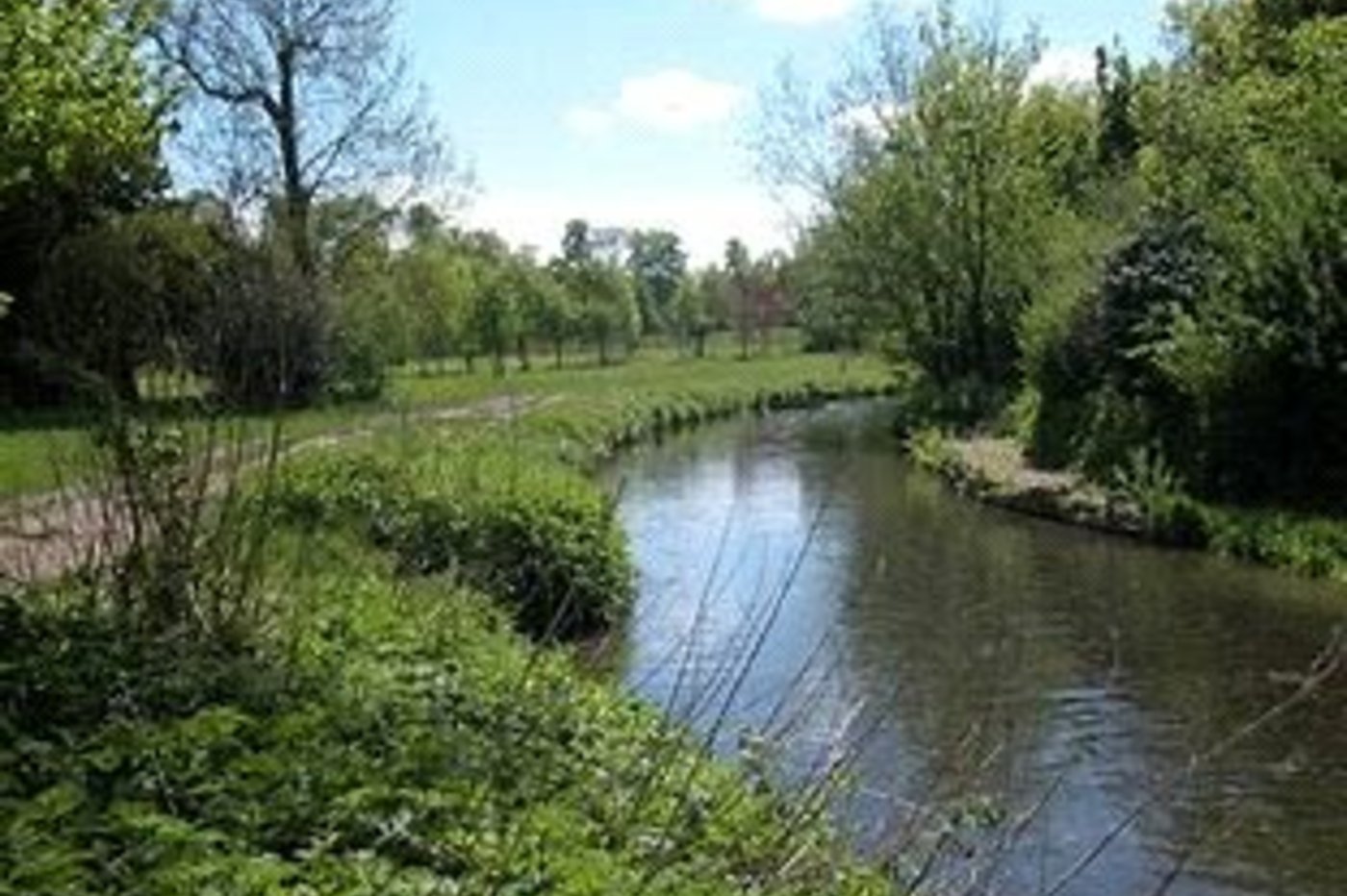 3 bedroom bungalow for sale in Sidcup | Robinson Jackson