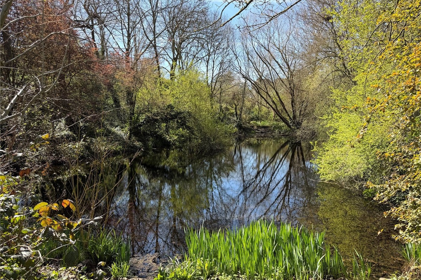 2 bedroom house for sale in Plumstead | Robinson Jackson