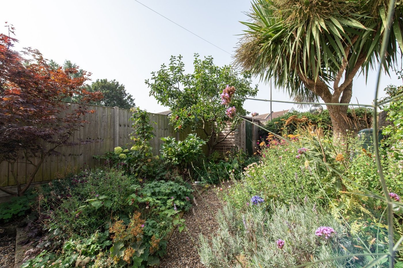 2 bedroom house for sale in Gravesend | Robinson Michael & Jackson