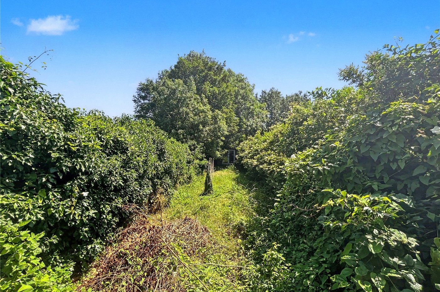 2 bedroom house for sale in Sittingbourne | Robinson Michael & Jackson