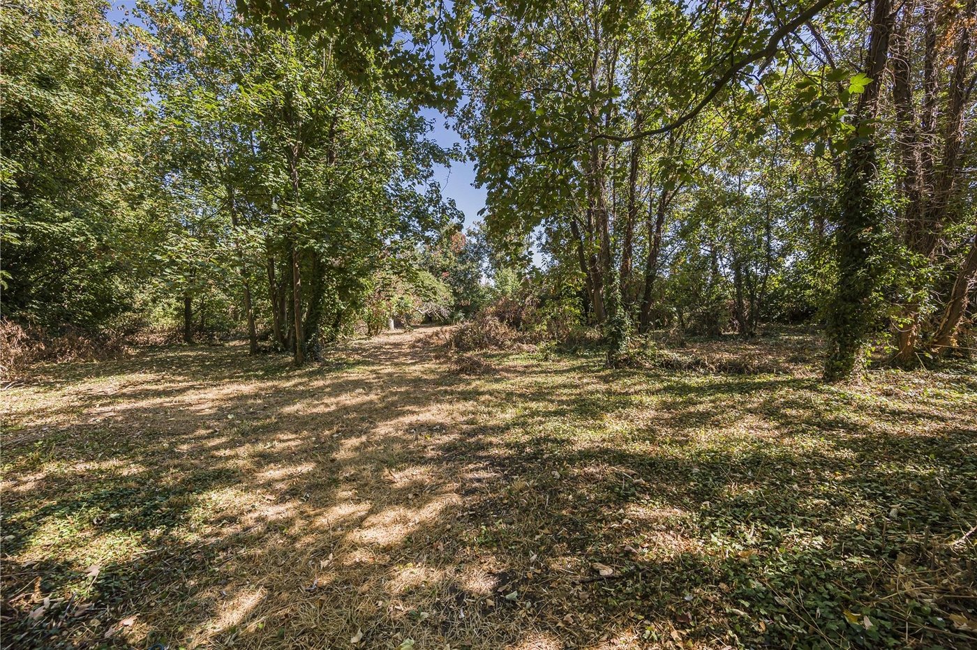 property for sale in Wilmington | Robinson Jackson