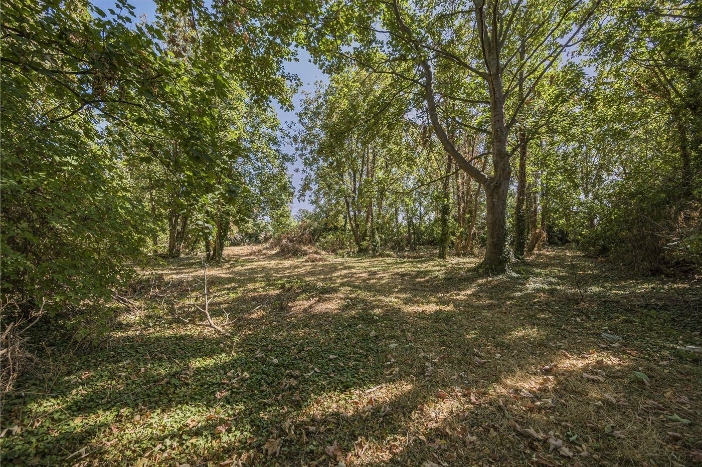 property for sale in Wilmington | Robinson Jackson