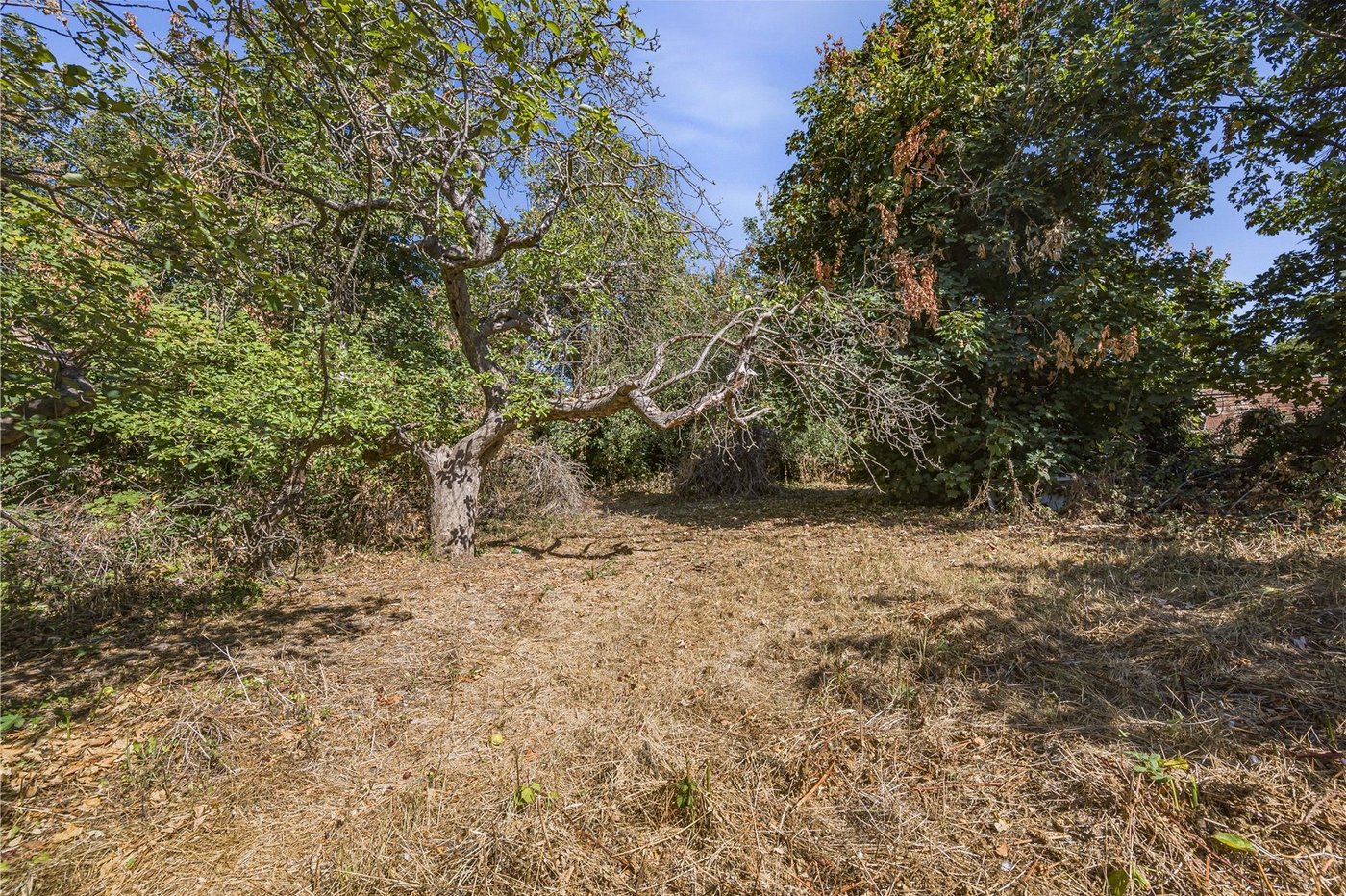 property for sale in Wilmington | Robinson Jackson