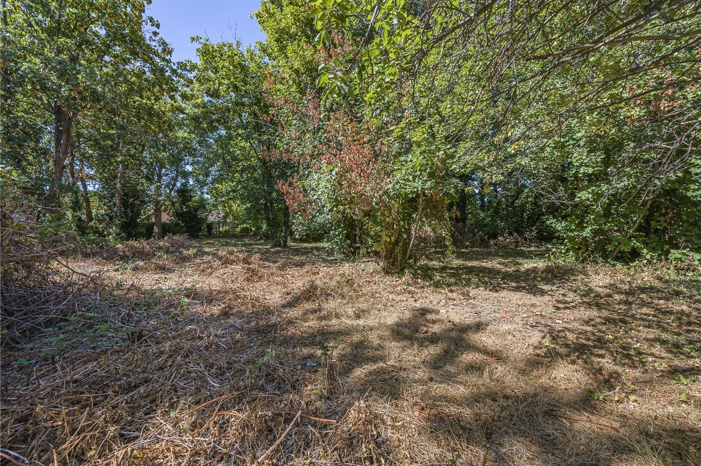 property for sale in Wilmington | Robinson Jackson