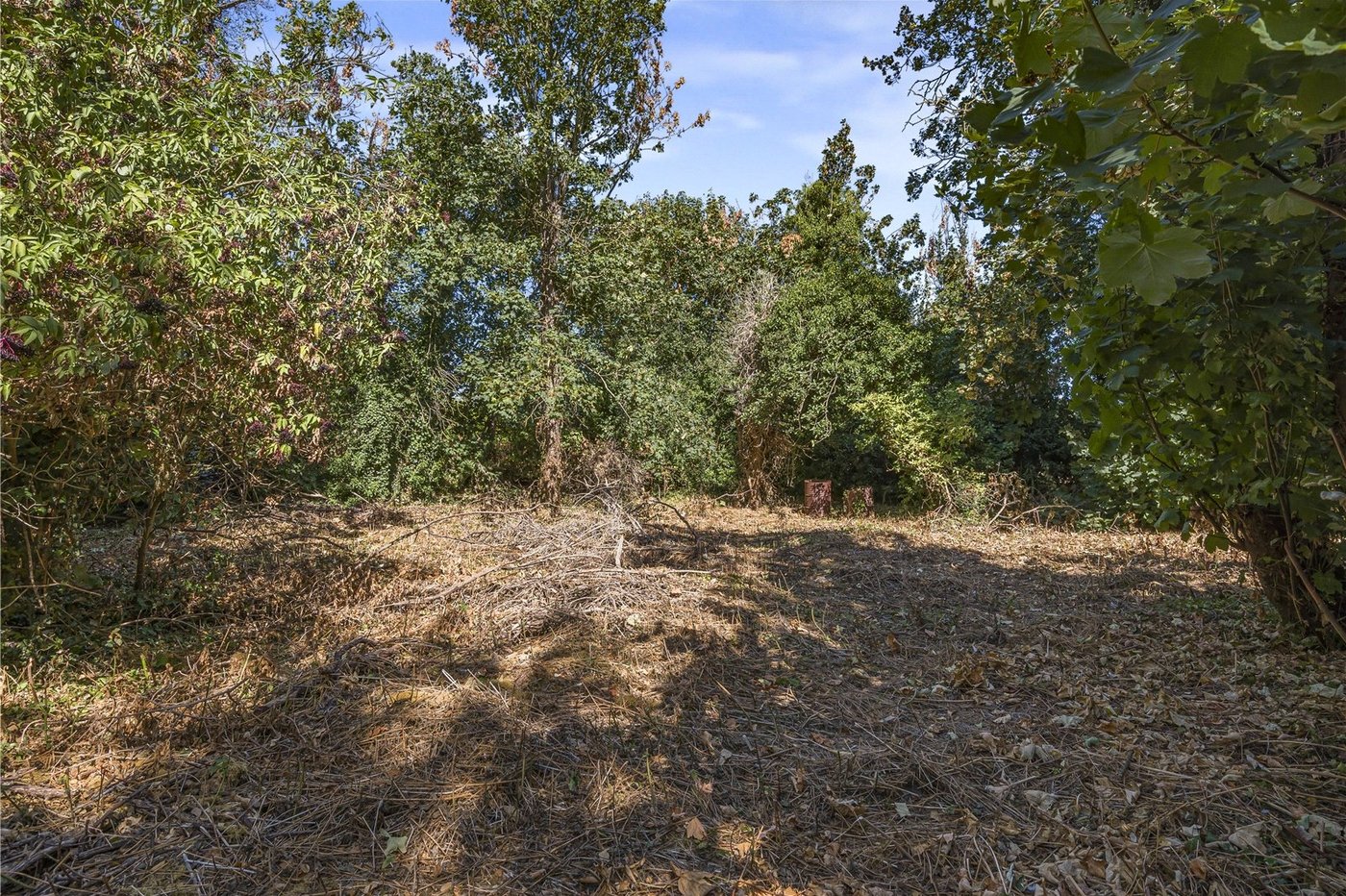 property for sale in Wilmington | Robinson Jackson