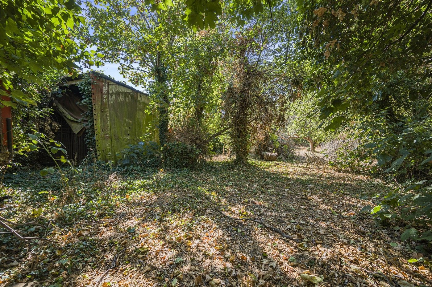 property for sale in Wilmington | Robinson Jackson