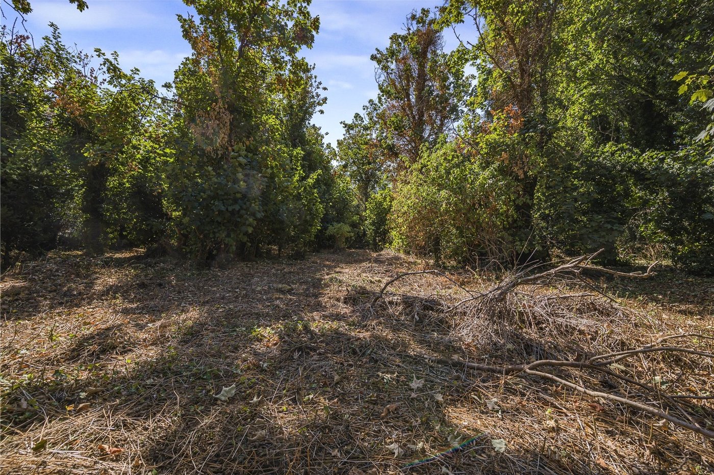 property for sale in Wilmington | Robinson Jackson