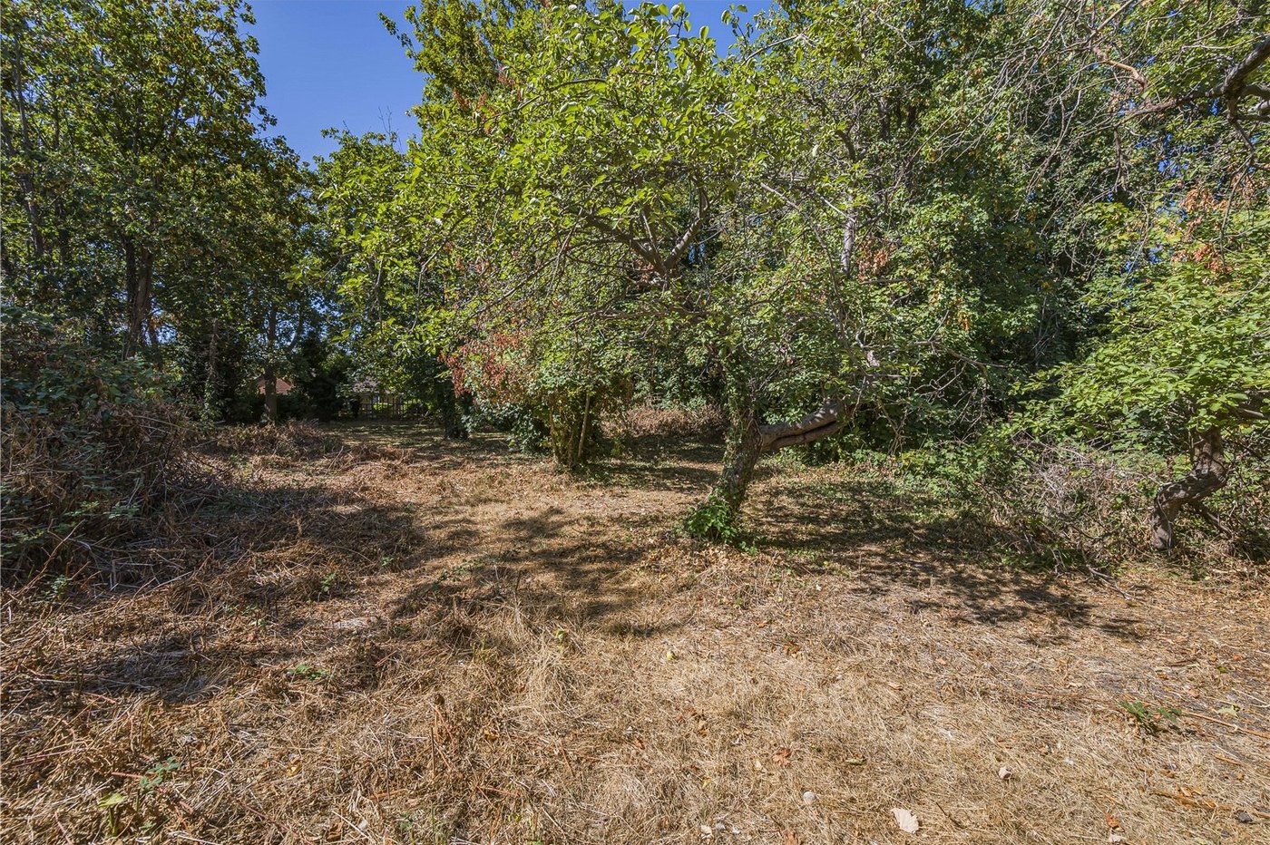 property for sale in Wilmington | Robinson Jackson