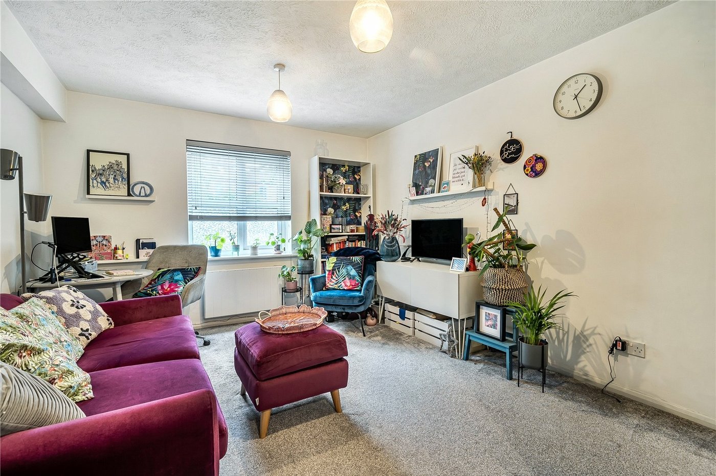 1 bedroom property to rent in  | Robinson Jackson