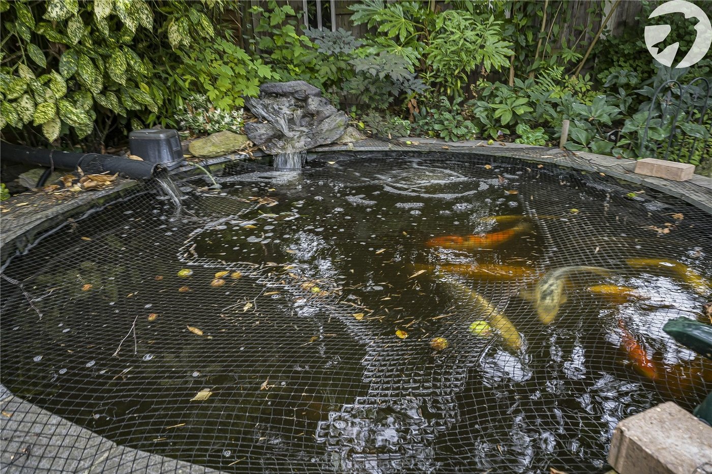 4 bedroom house for sale in Bexley | Robinson Jackson