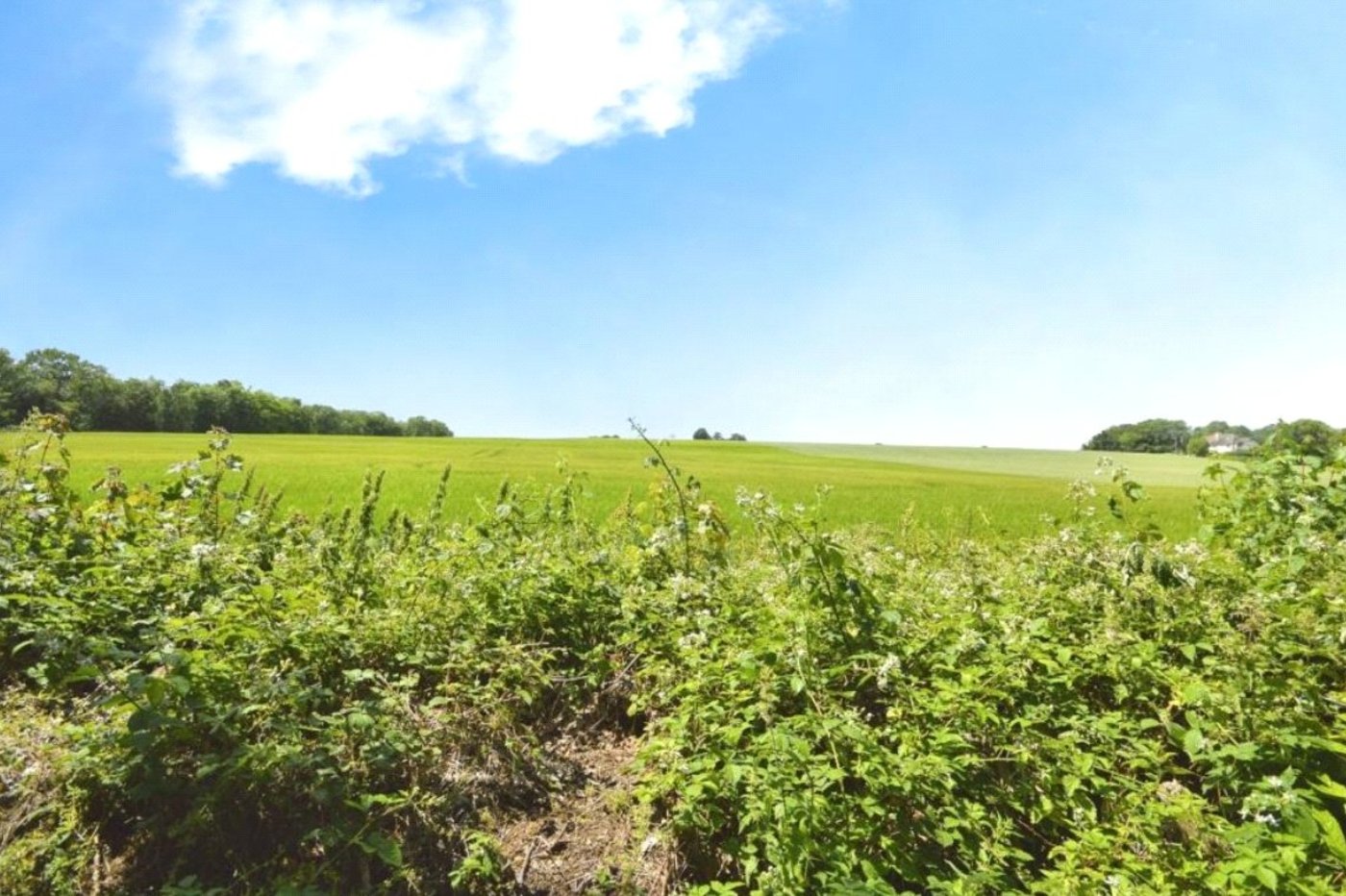 2 bedroom bungalow for sale in Vicarage Lane | Robinson Michael & Jackson