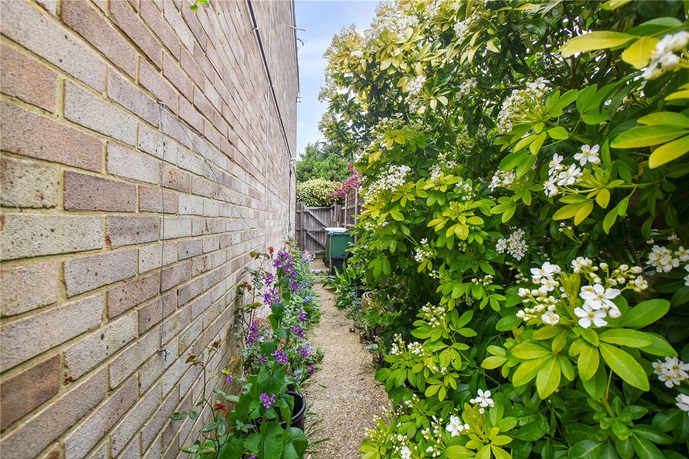 3 bedroom house for sale in Bexley | Robinson Jackson