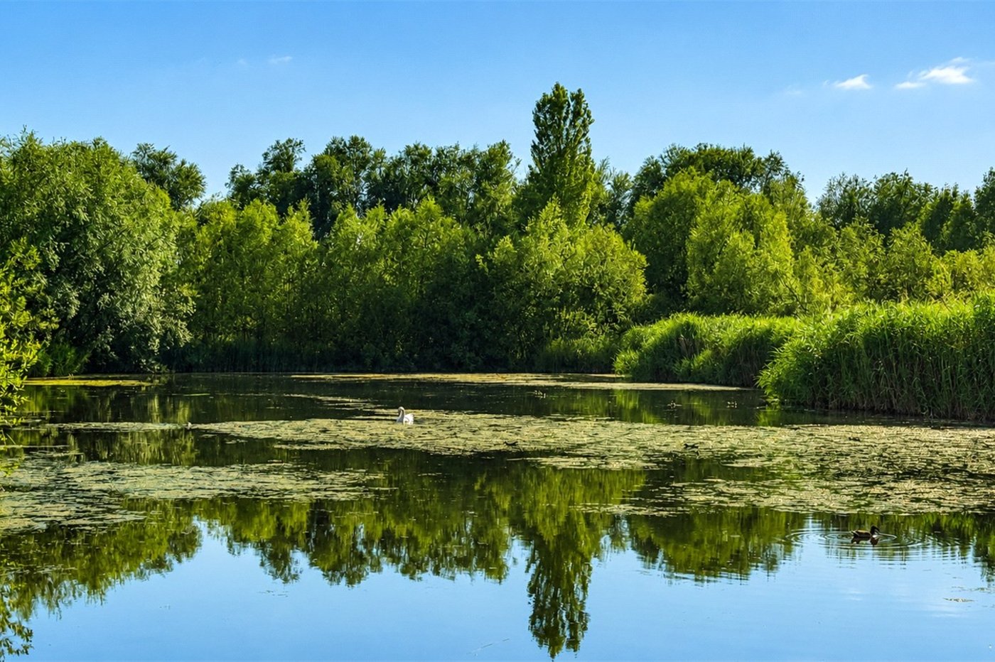 1 bedroom property for sale in London | Robinson Jackson