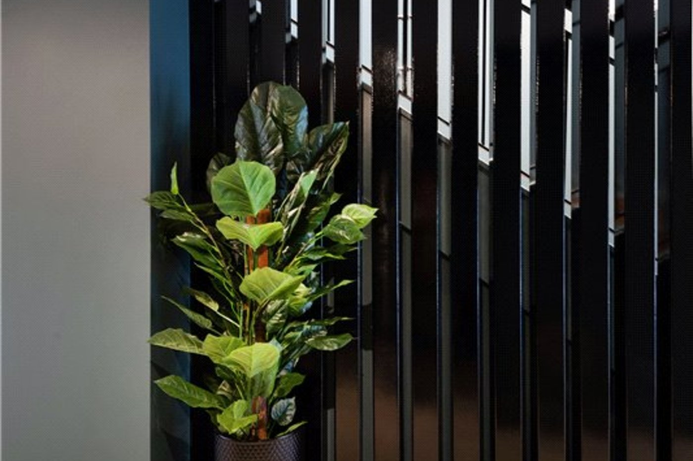 1 bedroom property for sale in Orpington | Robinson Jackson