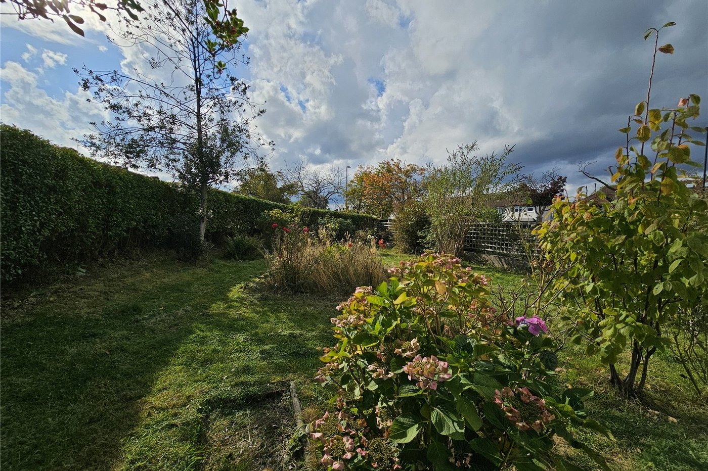 3 bedroom house for sale in Bromley | Robinson Jackson