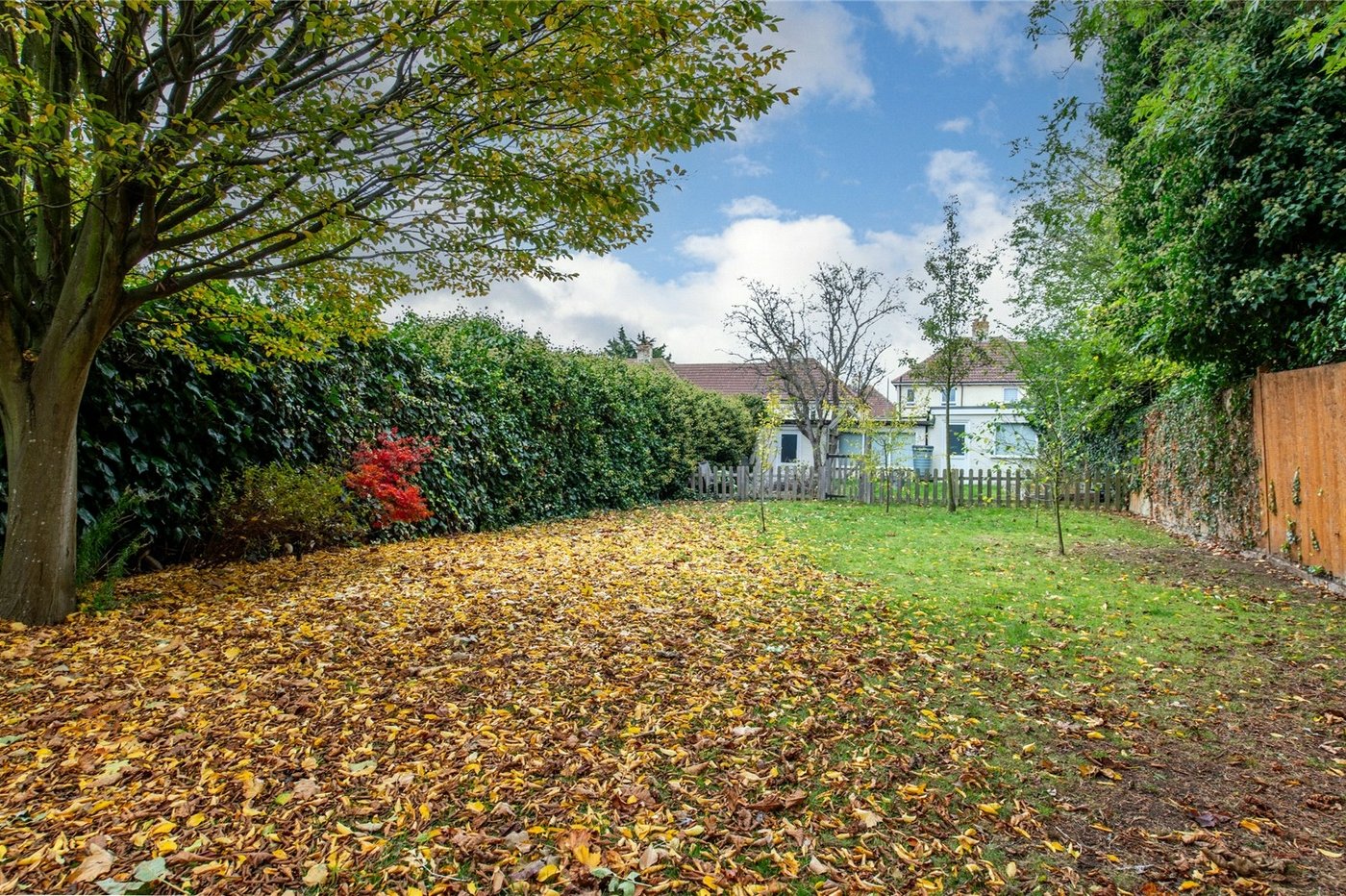 4 bedroom house for sale in Gravesend | Robinson Michael & Jackson