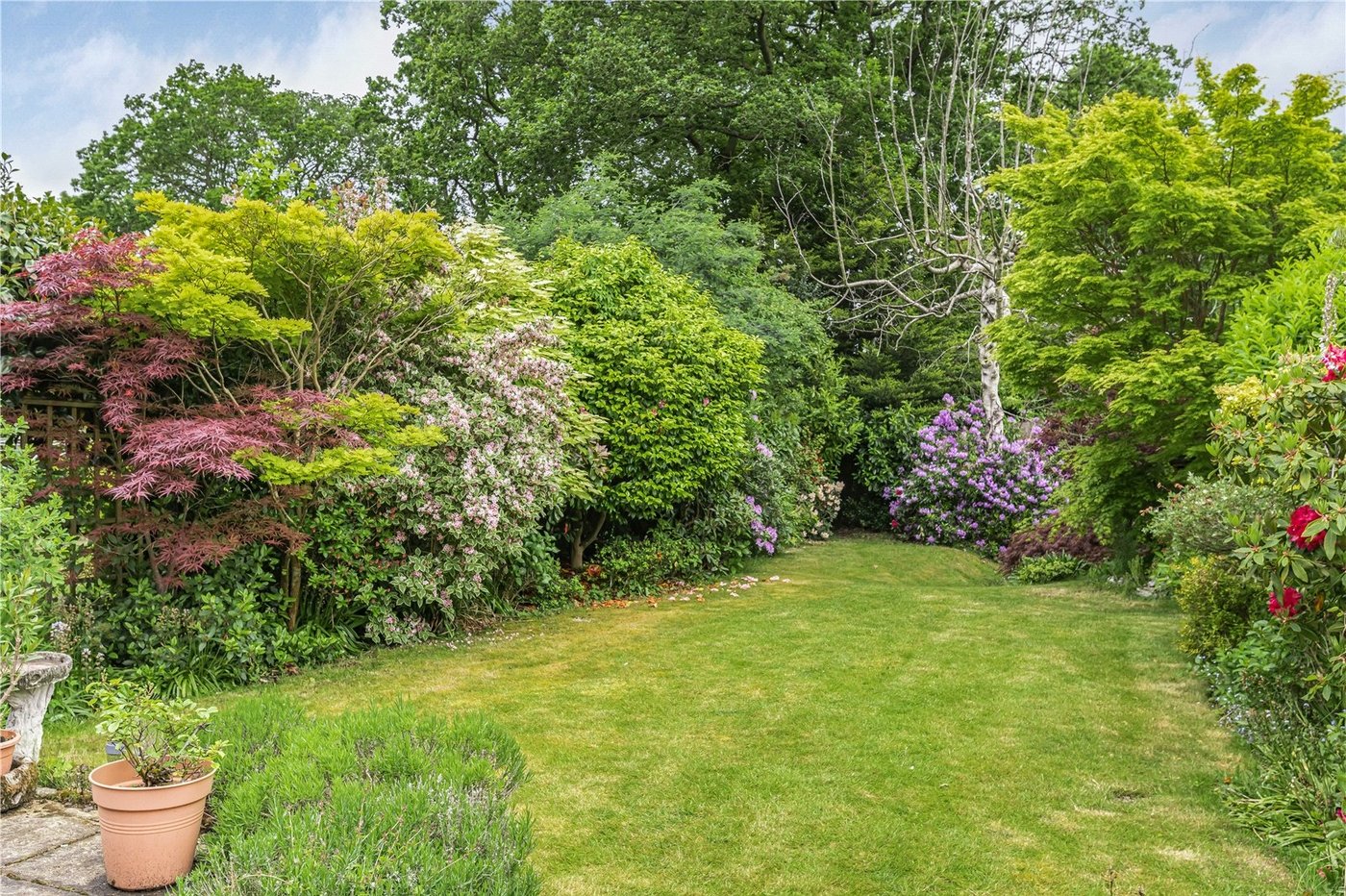 4 bedroom house for sale in Bexley | Robinson Jackson